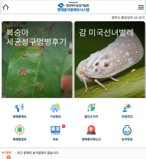 돌발해충 평년보다 이른 발생, 약충 적기방제 당부!